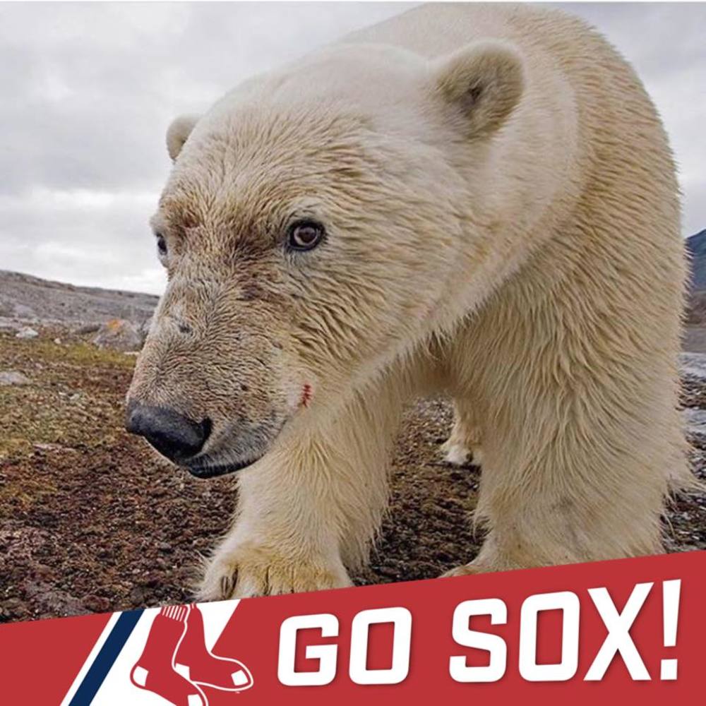 Meet your Posher, Travis